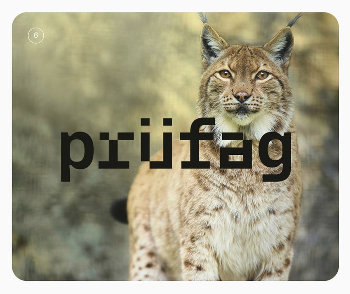 Logo sur photographie